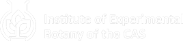 Institute of Experimental Botany of the Czech Academy of Sciences